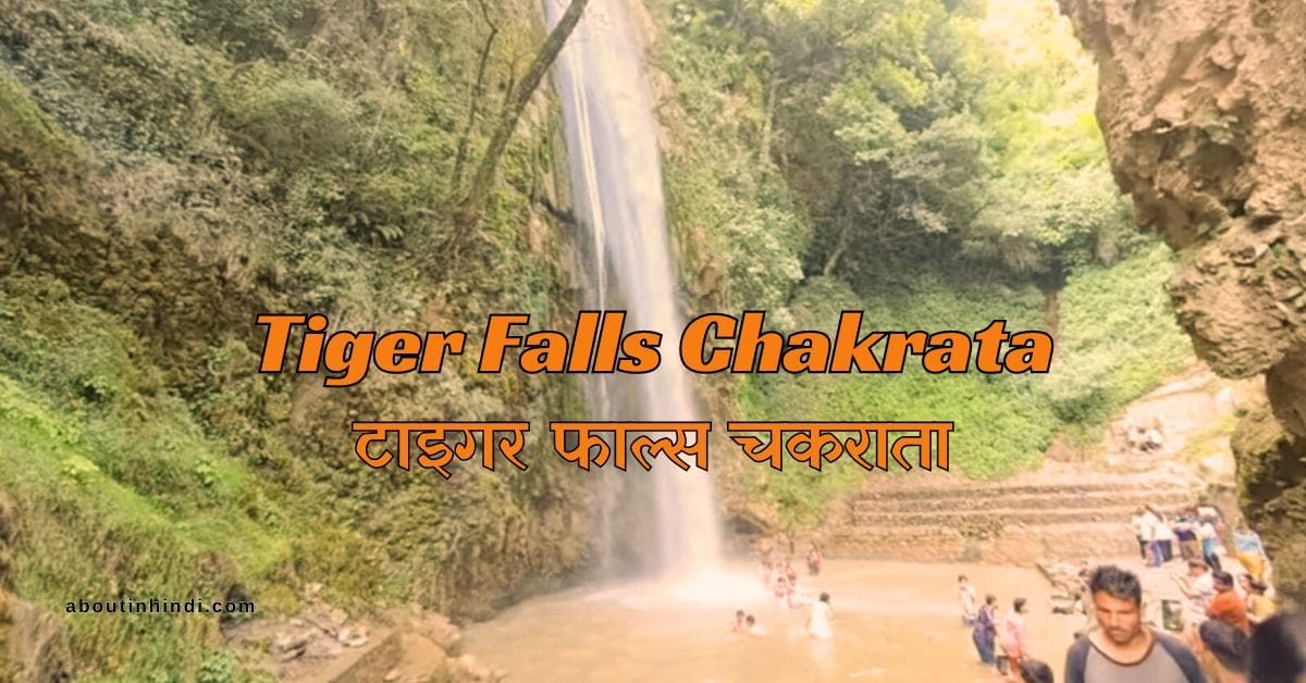 A beautiful picnic spot in Chakrata (Tiger Fall)