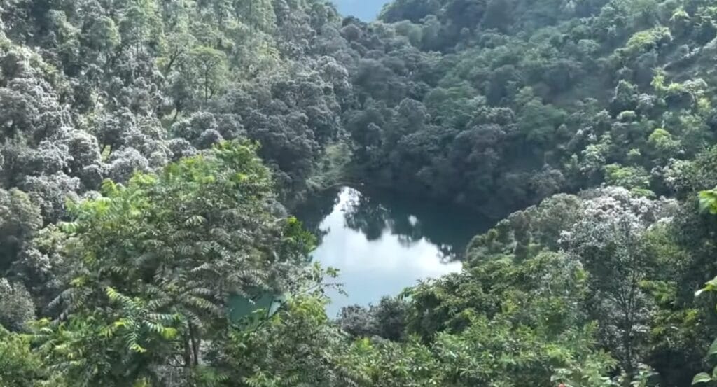 देवदार के पेड़ो के जंगल के बीच स्थित सातताल लेक में से एक लेक, जिसे सूखा लेक कहा जाता है।